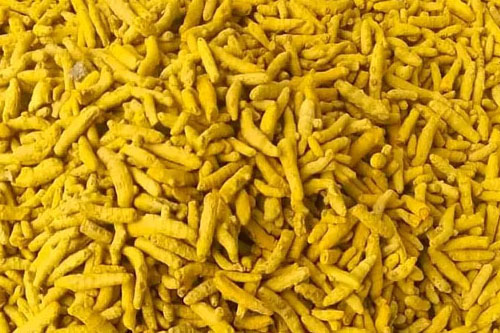 turmeric 1